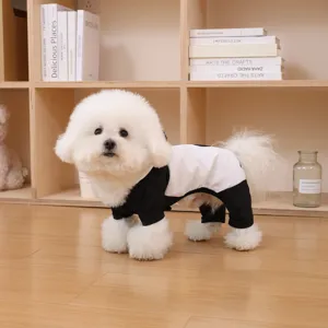 Cute small dog wearing stylish black and white splash-proof raincoat in cozy room detail view.