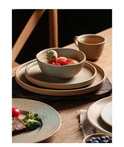 Vintage japanisches Keramik Geschirr Set Schale Teller fuer Kueche Esszimmer Tisch
