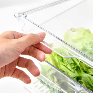 Dettaglio scatola di conservazione trasparente per frigorifero, contenitore verdure fresche.