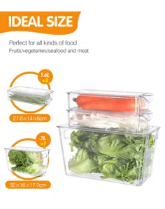 Ensemble de boîtes de rangement en plastique transparent pour réfrigérateur, fruits et légumes.