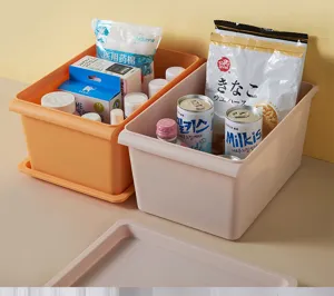 Vista dettagliata della scatola di plastica con coperchio per organizzare vestiti e vari.