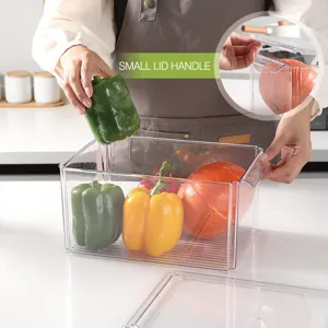 Détail de boîte de rangement alimentaire transparente pour réfrigérateur avec poignée.