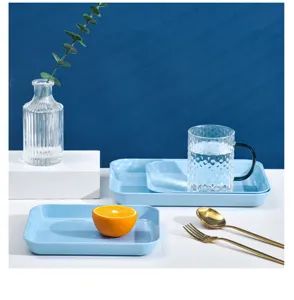 Japanese style light blue plastic serving tray set for dessert fruit salad steak kitchenware