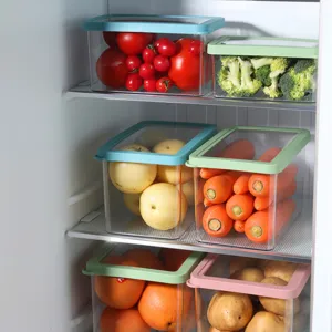 Transparent PET Refrigerator Food Storage Box 4-Piece Set Sealed Fresh-Keeping Kitchen Organizer With Colored Lids