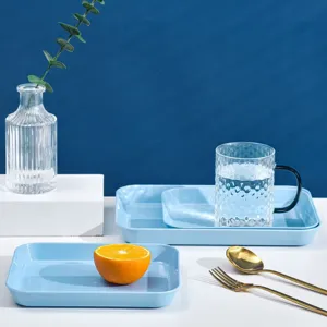 Japanese style plastic serving tray tableware plate for dessert fruit salad and kitchen use.