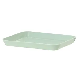 Light green rectangular plastic tray for dessert fruit salad multi-purpose serving dish