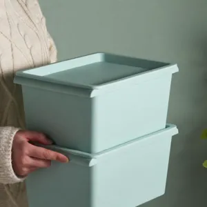 Scatola di conservazione in plastica con coperchio e maniglia per vestiti e giocattoli di casa.