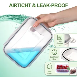 Close-up detail of the clear plastic food storage container showcasing leakproof seal and lock.