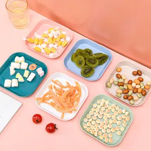 Nordic style square plastic plate set, colorful food snack fruit tray for home party kitchen