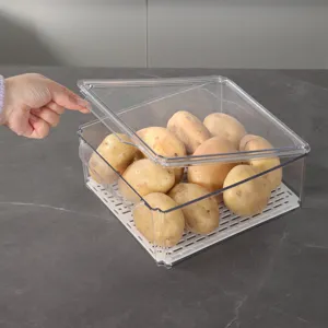 Transparenter PET Kühlschrank Aufbewahrungsbehälter mit Ablaufloch für frisches Obst und Gemüse.