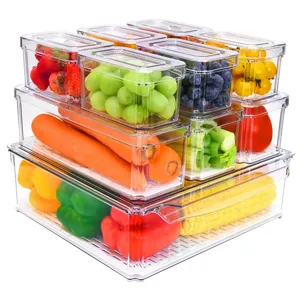 10-teiliges transparentes PET Kühlschrank Aufbewahrungsboxen Set mit Abtropfgitter frisch.
