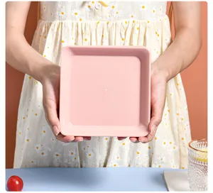Detail view of the pink square plastic bone plate held by hands, showing its durable finish.