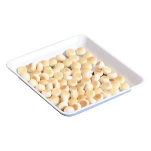 Minimalist square plastic bone plate snack dish home dining table food waste tray