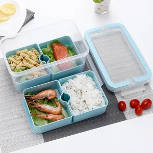 Tragbare 5-teilige Bento-Lunchbox mit Fächern und Abtropfplatte für gesunde Mahlzeiten.