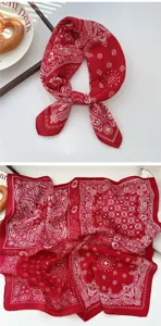 Nahaufnahme des roten Paisleymuster-Schals mit feiner Textur und schönem Vintage-Stil.