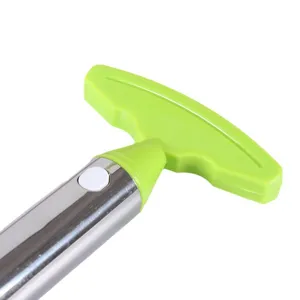 Stainless steel pineapple knife peeler corer handle main view product detail display