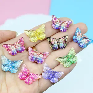 Vue détaillée d'accessoires de papillon en résine colorée avec motifs dorés sur une paume