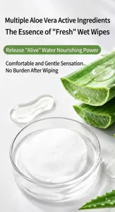 Close-up of a pet eye cleaning wipe in a glass dish with fresh aloe vera slices
