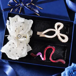 Gift set of cute hair claws and bow clip, stylish hair accessories for women and girls.