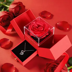 Eeuwige roos geschenkdoos met ketting voor romantische Valentijnsdag vriendin vrouw.