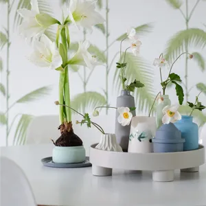 Japanese style ceramic vases and decorative storage tray set, elegant home display props setup.