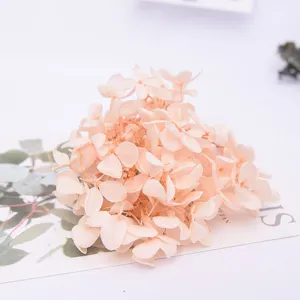 Natural dried hydrangea flowers in soft light pink, perfect for home decor and DIY crafts.
