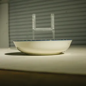 Piatto per condimento in ceramica 5,5 pollici piccola ciotola per salsa cucina tavola