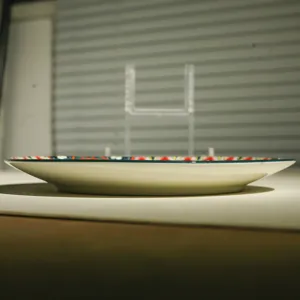 Ceramic dinner plate detail view, 10-inch shallow steak plate with bohemian pattern rim.