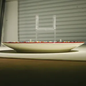 Ceramic 10 inch steak dinner plate shallow pastry bohemian bone china tableware for kitchen dining