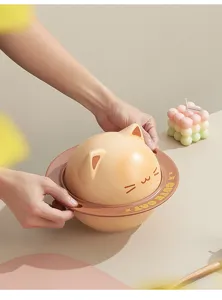 Cute cartoon cat instant noodle bowl tableware set, detailed shot showcasing design.