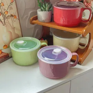Keramische Nudelschüssel mit Deckel, bunte Macaron Farben und Griff für den täglichen Gebrauch.