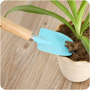 Petite pelle de jardin avec manche en bois pour plantes en pot, mini truelle métallique.