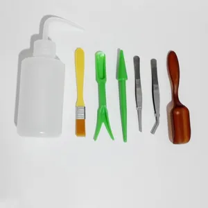 Dettaglio set di attrezzi per piantare succulente, strumenti da giardinaggio per piante.