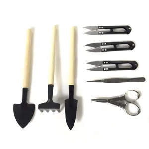 Set di attrezzi da giardinaggio per piante succulente con pala rastrello in legno e forbici
