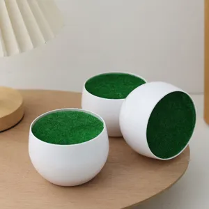 White sphere flower pot with green moss detail, perfect for mini succulent plants desk decor.