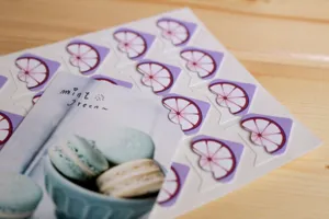 DIY paper photo corners purple fruit design sticker sheet for scrapbooking memory books