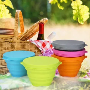 Portable silicone collapsible bowl for outdoor camping picnic and travel lunch box