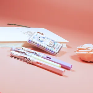 Detail shot of colorful fountain pen set with cute box for daily student study.