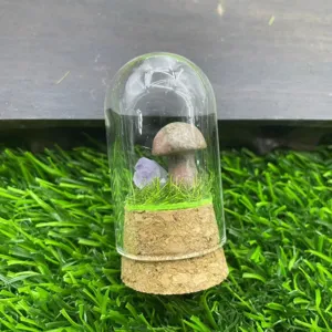 Champignon de cristal micro paysage dôme en verre détail vue décoration ornement accessoire