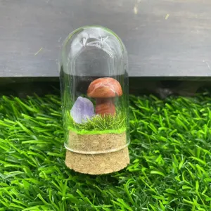 Dôme en verre champignon en cristal micro paysage décoration maison bureau bureau ornement