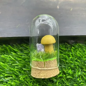Présentoir en verre micro-paysage champignon, décor de cristal et base d'herbe.