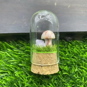 Vue de détail d'un dôme en verre de microlaysage de champignon en cristal avec base en mousse.