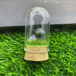Gros plan détaillé du terrarium sous cloche en verre avec champignon en pierre et cristaux.