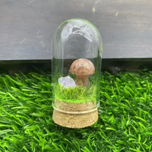 Miniature champignon cristal verre affichage dôme avec base en liège pour bureau décor.