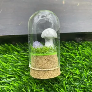 Dôme en verre micro paysage champignon avec cristal et mousse verte pour belle décoration.