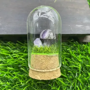 Détail de micro-paysage de champignon en cristal avec dôme en verre et base en liège.