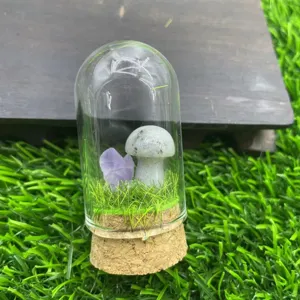 Détail de micro-paysage champignon en cristal, dôme en verre avec groupe de pierres