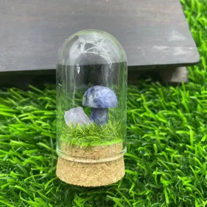 Vue de detail du micro paysage de champignon en cristal sous cloche de verre avec pierre.