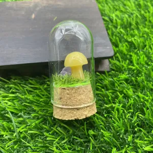 Vue détaillée d'un micro-paysage de champignon en cristal mignon sous cloche en verre et liège.