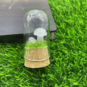 Décoration de dôme en verre de micro-paysage de champignon cristal, détail de bureau.